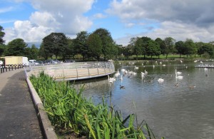 The new viewing & bird feeding platform at Hogganfield Park LNR