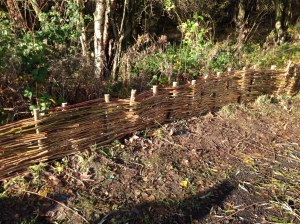 Fence at Bishop Loch (courtesy Seven Lochs Project)
