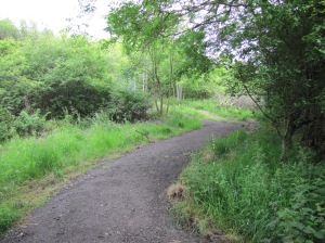 After - new surfaced path leading to entrance gate to Frankfield Loch