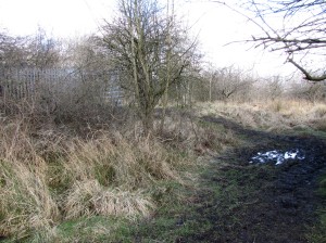 Before - Muddy path leading to gate/path to Frankfield Loch