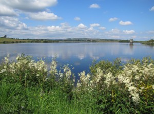 Balgray Reservoir - Dams to Darnley CP