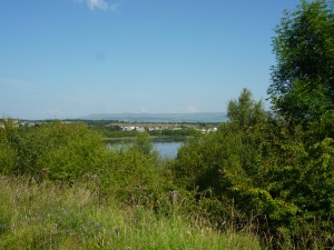 Looking north towards Frankfield Loch