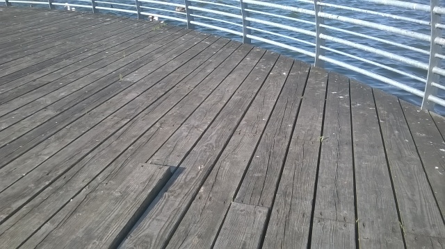 Hogganfield Park LNR - loose plank on viewing platform