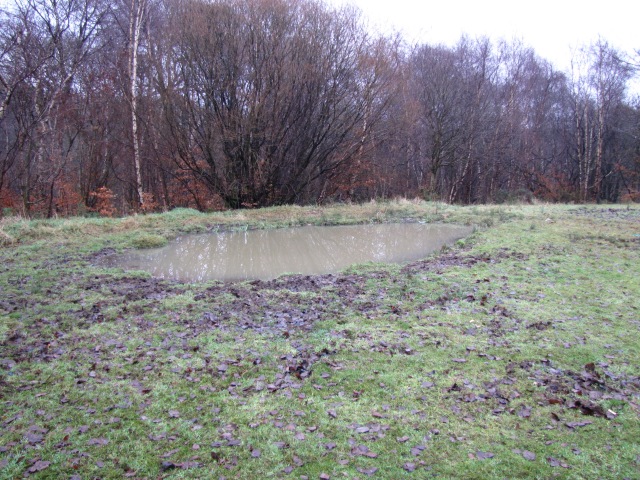 Dawsholm - new pond